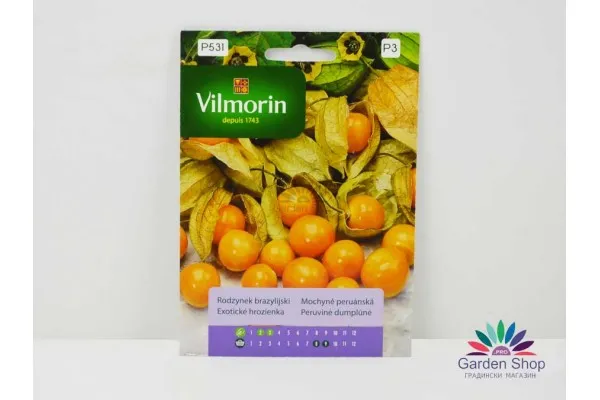 Семена на Физалис с ядлив плод - Physalis peruviana