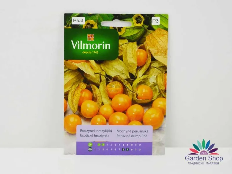 Семена на Физалис с ядлив плод - Physalis peruviana