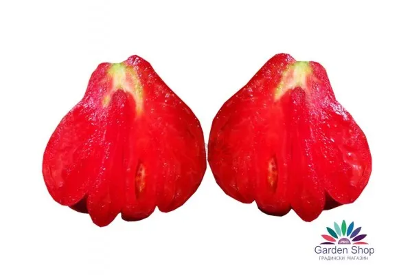 Италиански семена на домати Червена Круша на Франчи сорт Red Pear (Ред Пеър)