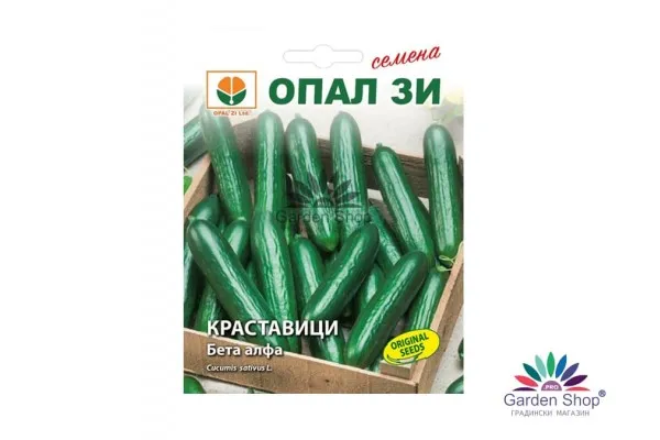 Сортови семена на краставици къси Бета Алфа от Опал Зи - вкусна и ароматна