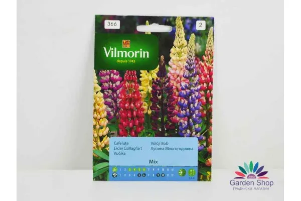 Семена на многогодишна Лупина (Lupinus polyphyllus)