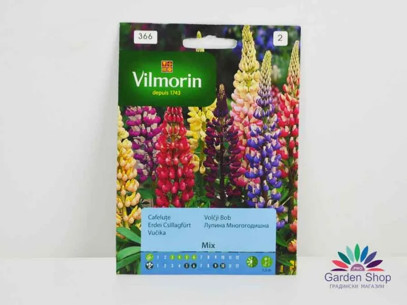 Семена на многогодишна Лупина (Lupinus polyphyllus)