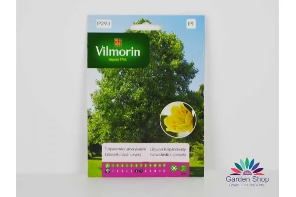 Семена на Лирово Дърво (Liriodendron tulipifera)