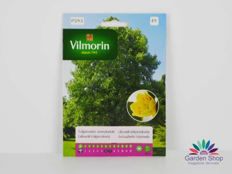 Семена на Лирово Дърво (Liriodendron tulipifera)