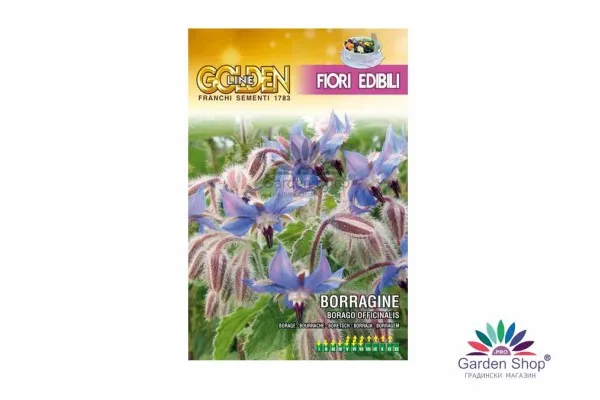 Семена на Пореч с ядлив цвят Borago officinalis – вкус, аромат и лечебна сила в едно растение