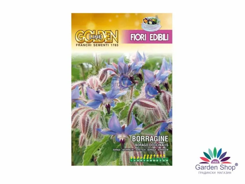 Семена на Пореч с ядлив цвят Borago officinalis – вкус, аромат и лечебна сила в едно растение