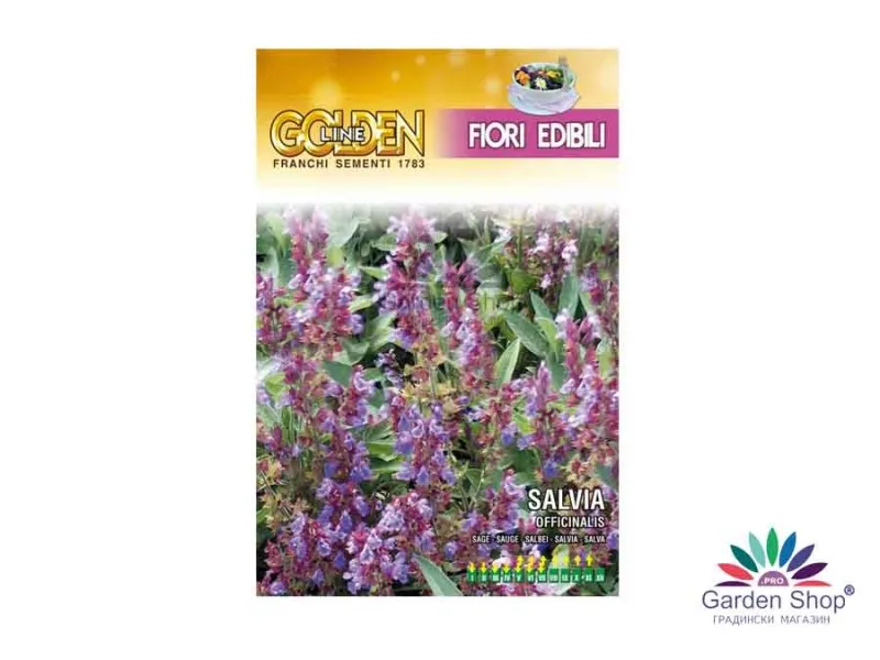 Семена на Салвия с ядливи цветове (Salvia officinalis) – билка, която украсява, лекува и овкусява