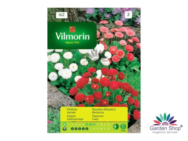 Семена на цвете Парички за саксия - Bellis perennis (микс)