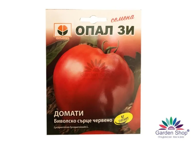 Семена на домат тип Червено Биволско сърце – вкус, аромат и изобилие за всяка градина