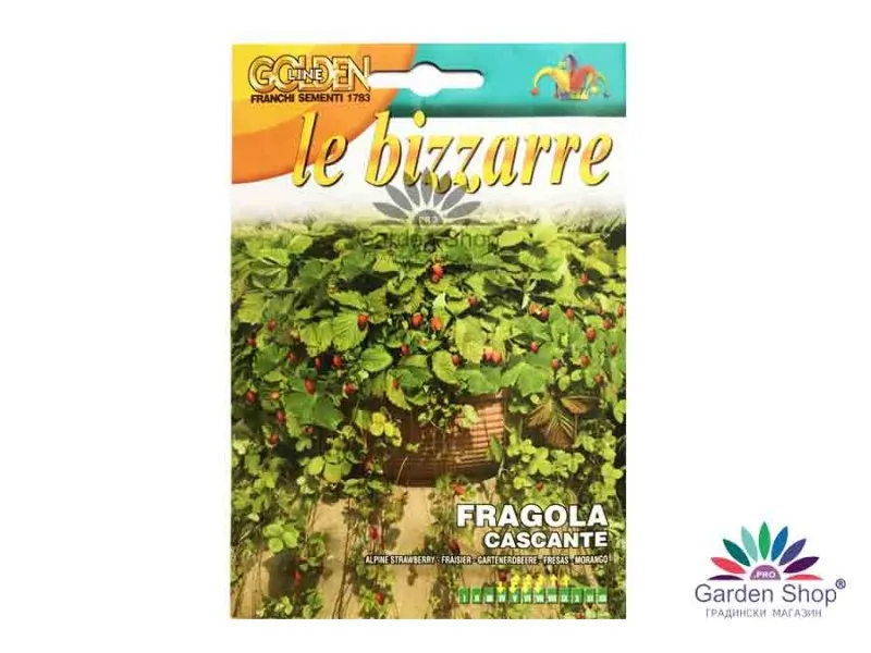 Семена на висяща ягода Атила (Fragaria vesca) – ароматен водопад от сладост за всеки балкон