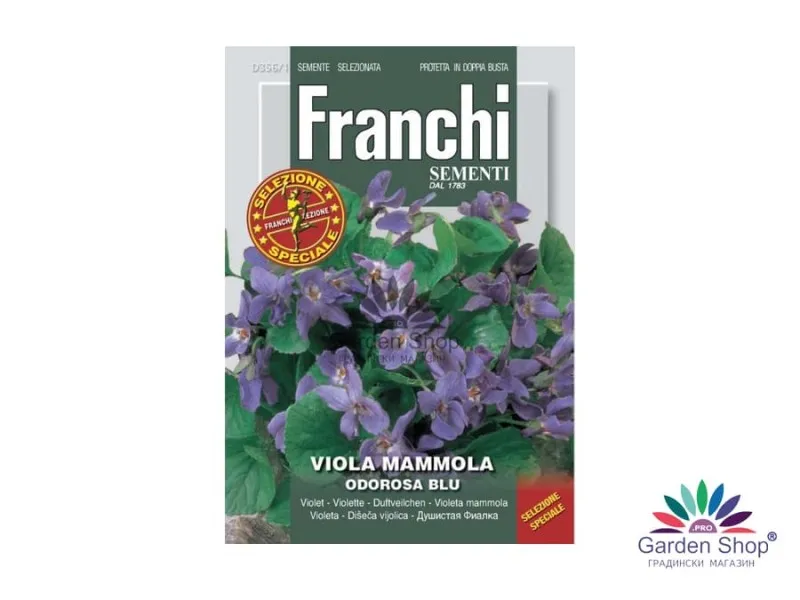 Семена на ароматна горска теменужка (Viola odorata) – нежното ухание на пролетта