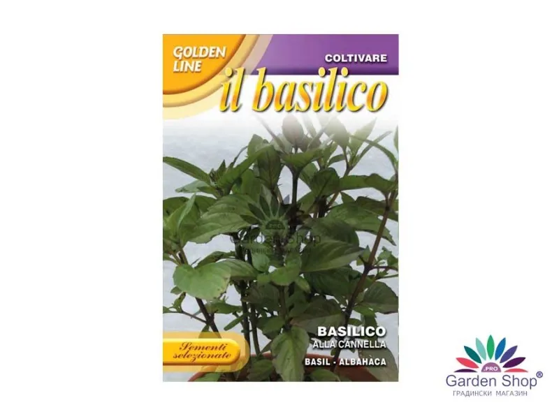 Семена на босилек с аромат на канела - Ocimum basilicum