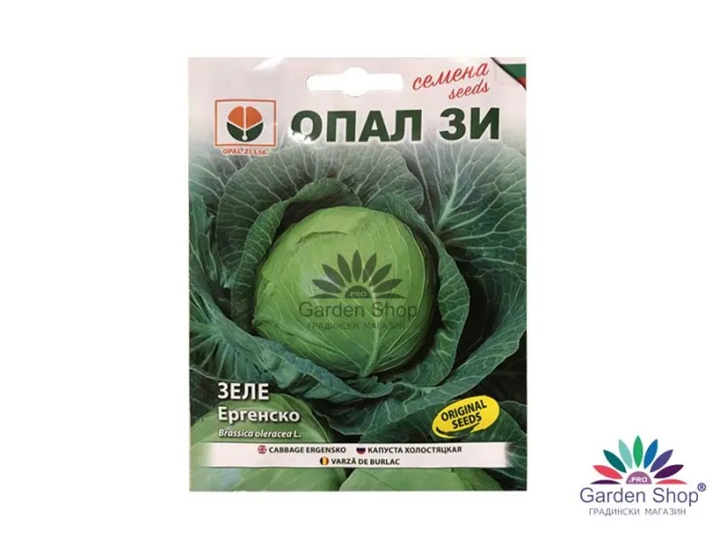 Семена на Ергенско зеле - много вкусно с компактна и тежка зелка (високи добиви)