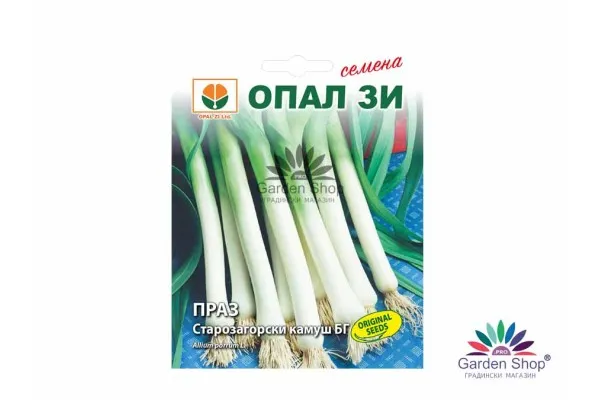 Семена ароматен праз Старозагорски Камуш - по-нисък и по-дебел сорт