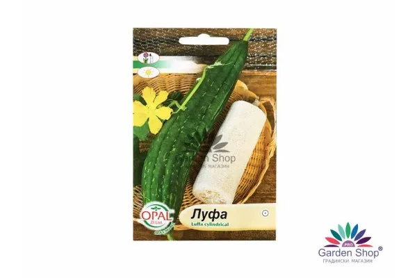 Семена на гъба за баня Луфа Luffa cylindrical – екзотичният природен дар за дома и градината