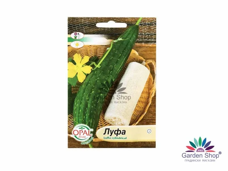 Семена на гъба за баня Луфа Luffa cylindrical – екзотичният природен дар за дома и градината