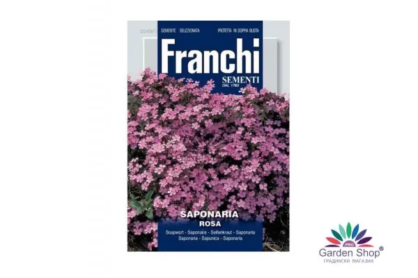 Семена на розова Сапонария (Saponaria ocymoides) – мек розов килим за вашата градина