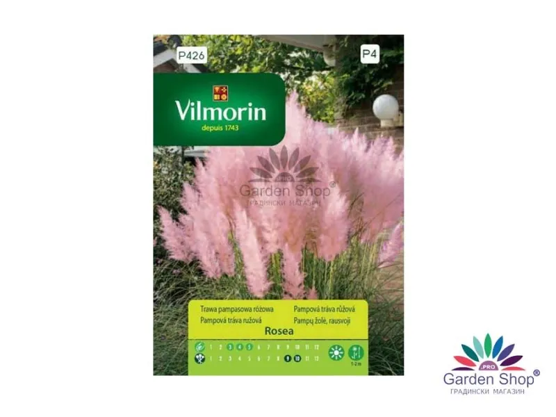 Семена на розова Пампаска трева - Cortaderia selloana rosea