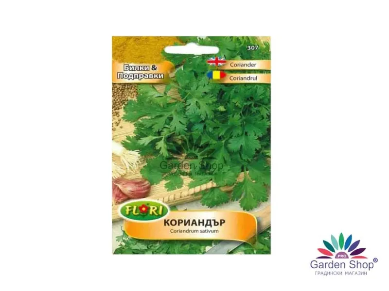 Семена на средиземноморската подправка Кориандър (Coriandrum sativum)