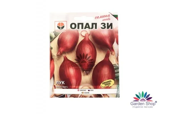 Семена на продълговат лук Роса Лунга – вкус, елегантност и високи добиви за вашата градина