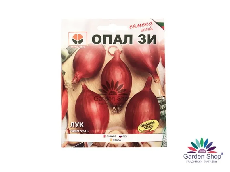 Семена на продълговат лук Роса Лунга – вкус, елегантност и високи добиви за вашата градина