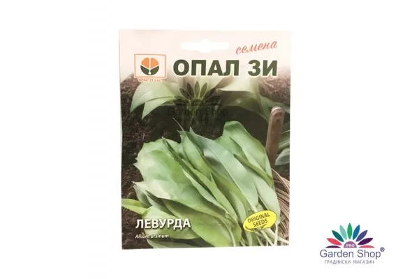 Семена на Левурда за саксия и градина (Див чесън, Мечи лук) – аромат, здраве и свежест в един продукт