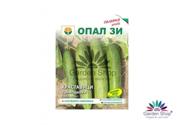 Семена на краставица Крокодилка – салатен вкус, който се помни
