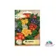 Семена на многогодишна Иглика (Примула) – Primula veris: Цветният будител на пролетта във всяка градина