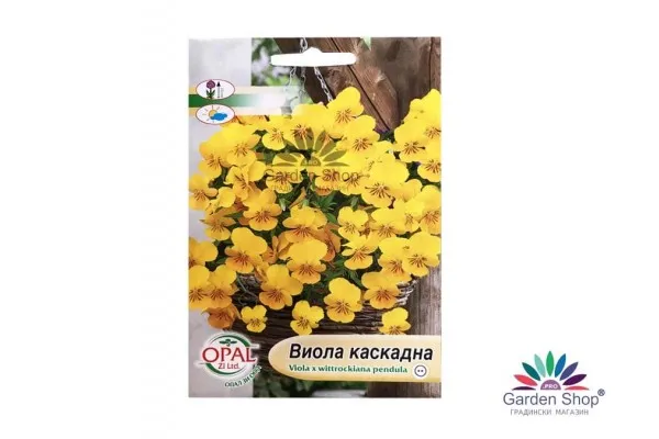 Семена на каскадна жълта Виола (Теменужка)