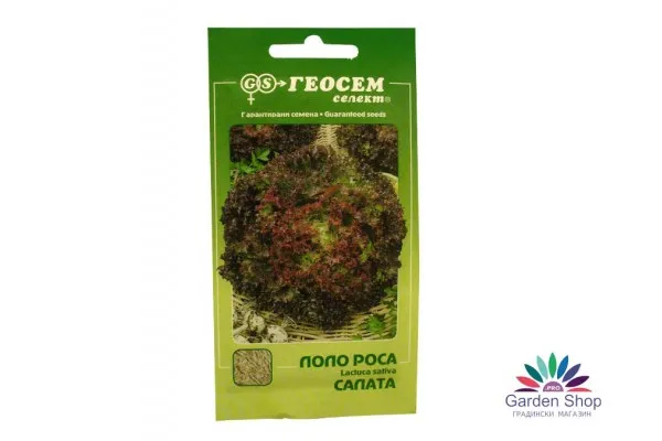 Семена на червена къдрава Маруля (салата) Лоло Роса от Геосемселект