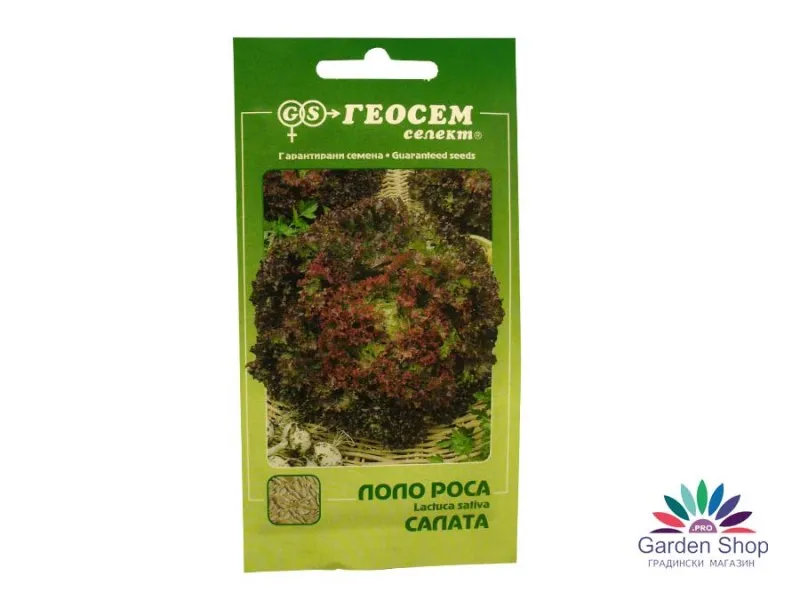 Семена на червена къдрава Маруля (салата) Лоло Роса от Геосемселект