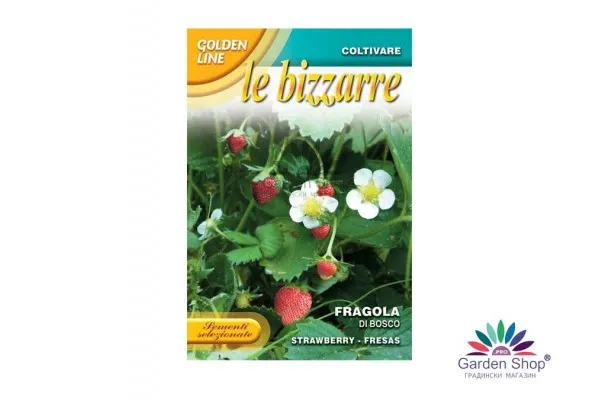Семена от сладка и ароматна горска ягода - Fragaria vesca