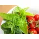 Семена на нискорастящ босилек - едролистен (Ocimum basilicum) със страхотен аромат
