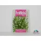 Семена на екзотичната подправка Майорана (Origanum majorana)