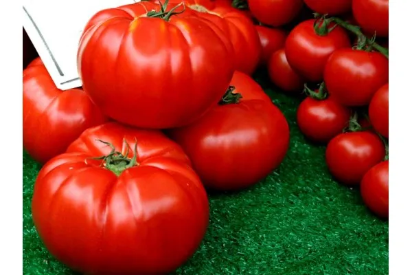 Семена на огромен вкусен български домат - Червен Градински