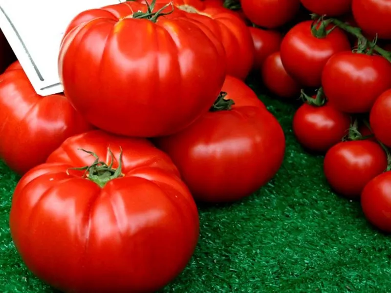 Семена на огромен вкусен български домат - Червен Градински
