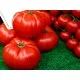 Семена на огромен вкусен български домат - Червен Градински