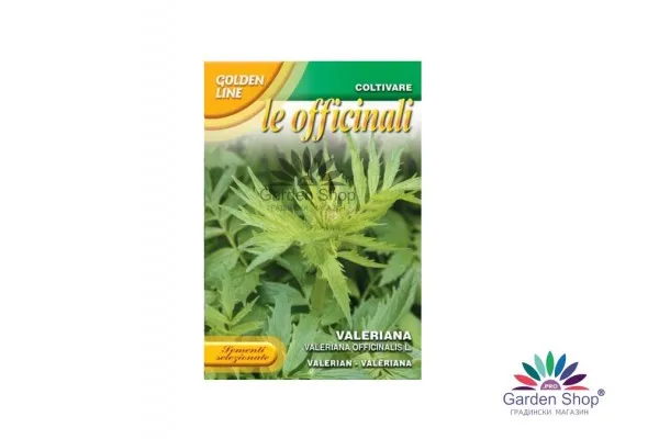 Семена на билката с успокояващо действие - Валериана, Дилянка (Valleriana officinalis)