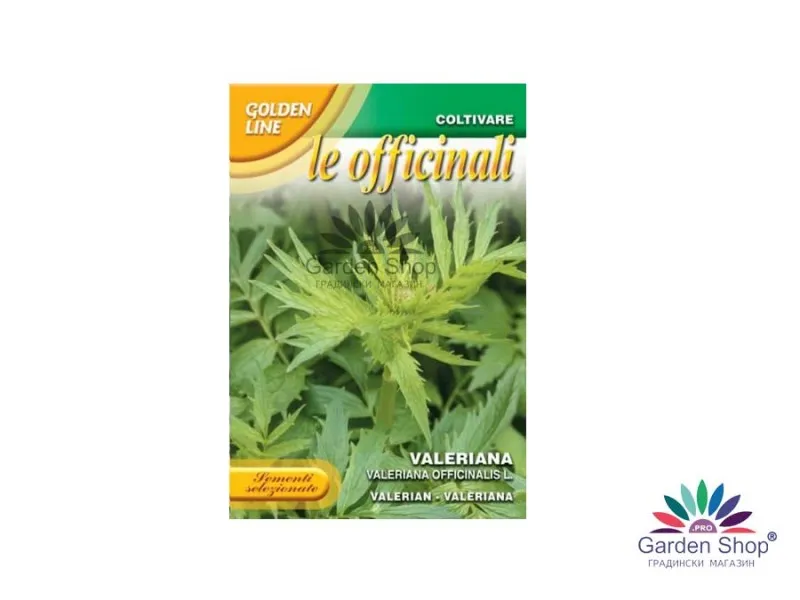 Семена на билката с успокояващо действие - Валериана, Дилянка (Valleriana officinalis)