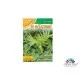 Семена на билката с успокояващо действие - Валериана, Дилянка (Valleriana officinalis)
