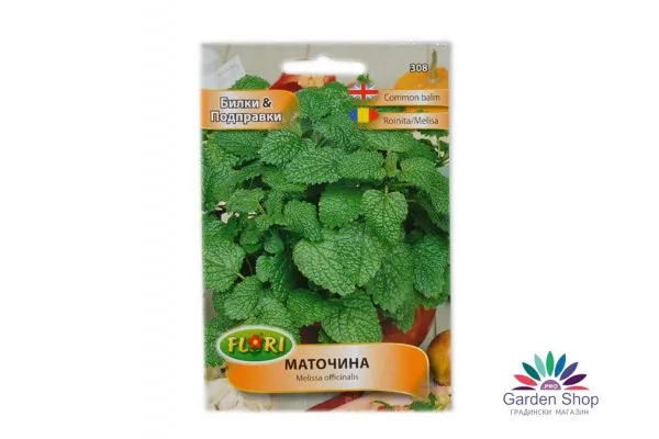 Семена на медоноса с лимонов аромат - Маточина (Melissa officinalis) представени от Севън сийдс ООД