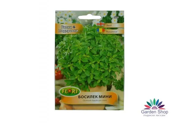 Симпатичен сорт семена от Мини Босилек за саксия (Ocimum basilicum mini)