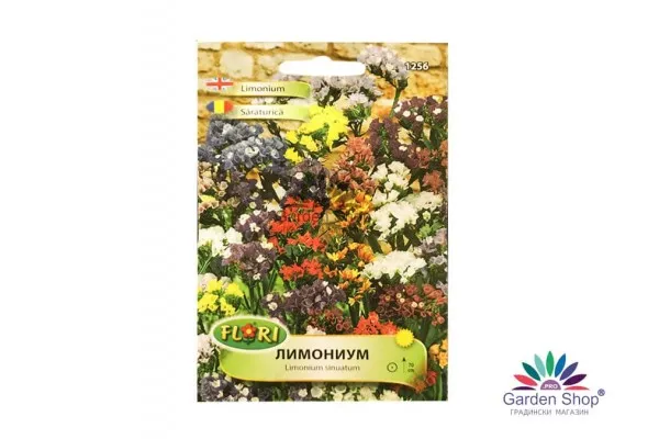 Семена на цвете Лимониум (Limonium sinuatum)– красота, устойчивост и вдъхновение в едно изящно растение