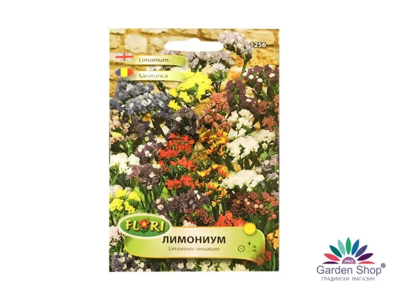 Семена на цвете Лимониум (Limonium sinuatum)– красота, устойчивост и вдъхновение в едно изящно растение