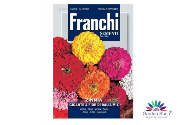 Семена на елегантната циния Далиева (Zinnia elegans) - с гигантски цветове