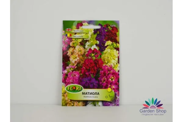 Семена на шибой - Матиола (Matthiola incana) представени от Севън Сийдс