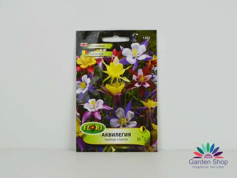 Семена от цвете Кандилка – Аквилегия (Aquilegia x hybrida)
