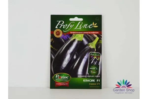 Професионални семена на патладжан Класик F1 (Solanum melongena l. - Classic F1)