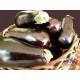 Професионални семена на патладжан Класик F1 (Solanum melongena l. - Classic F1)