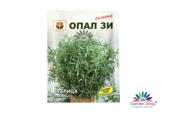 Семена от Чубрица (Satureja hortensis) за засаждане в саксия на балкона предсставена от Севънн Сийдс